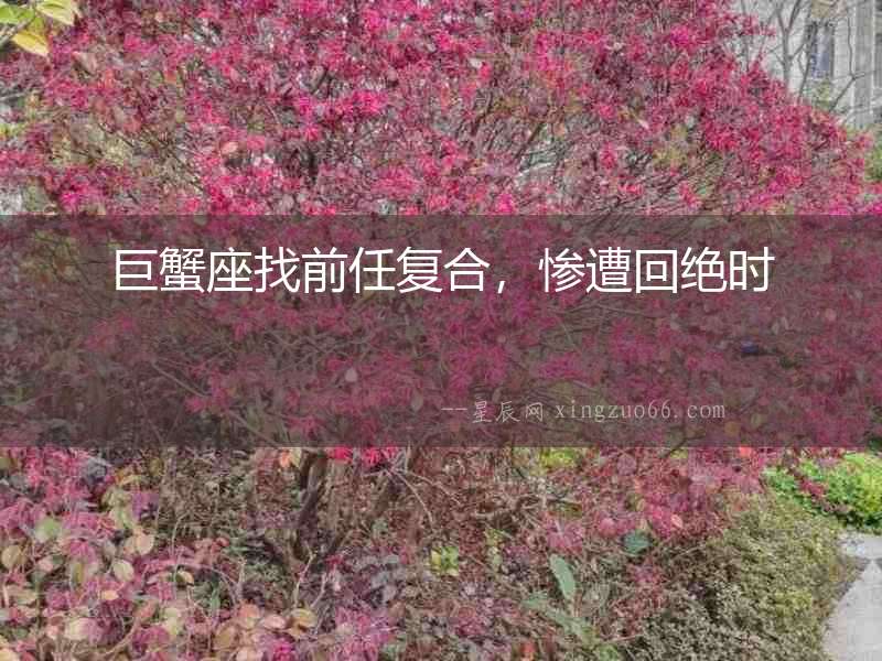 巨蟹座找前任復合，慘遭回絕時