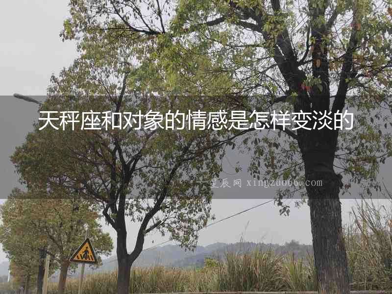 天秤座和對象的情感是怎樣變淡的
