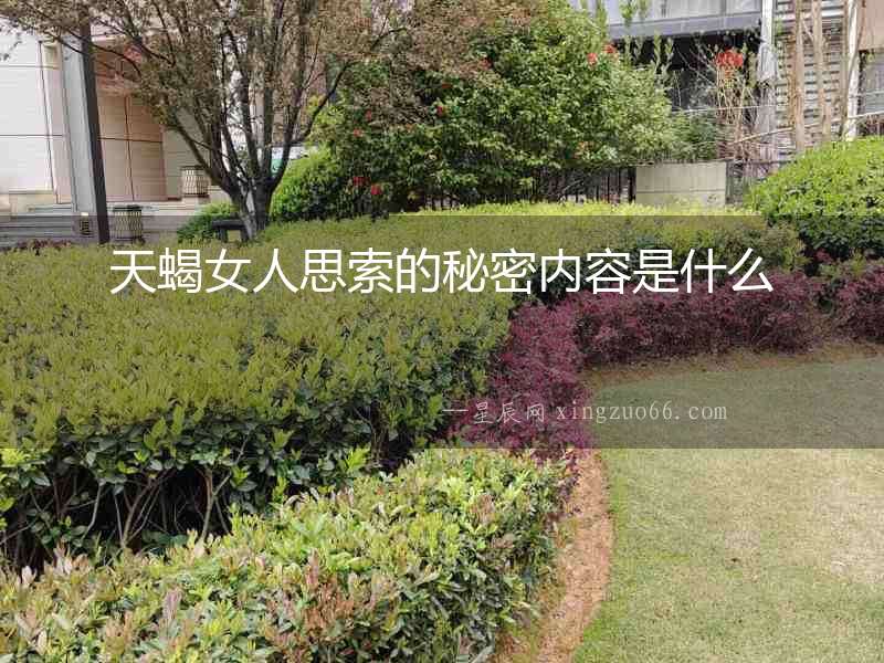 天蝎女人思索的秘密內容是什么