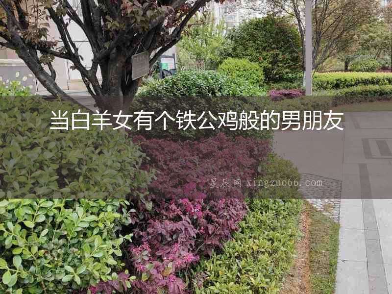 當白羊女有個鐵公雞般的男朋友