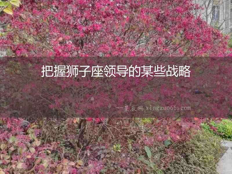 把握獅子座領導的某些戰(zhàn)略