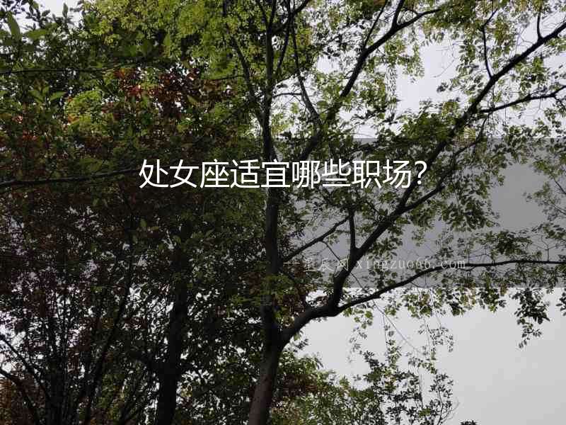 處女座適宜哪些職場？