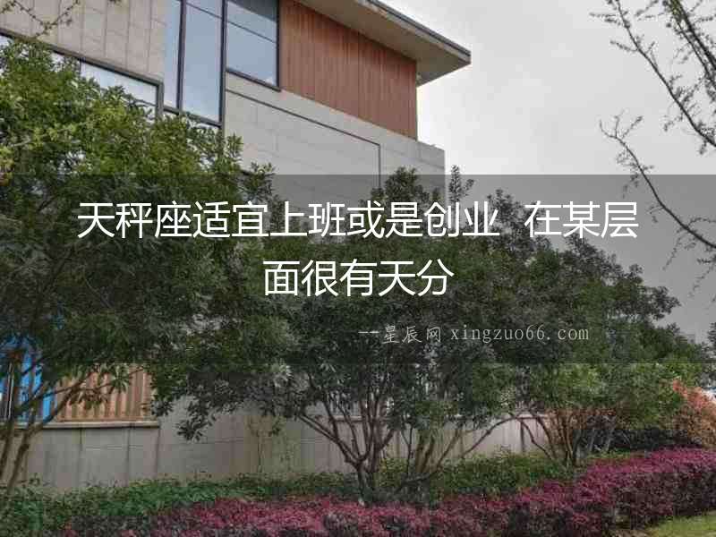 天秤座適宜上班或是創業  在某層面很有天分