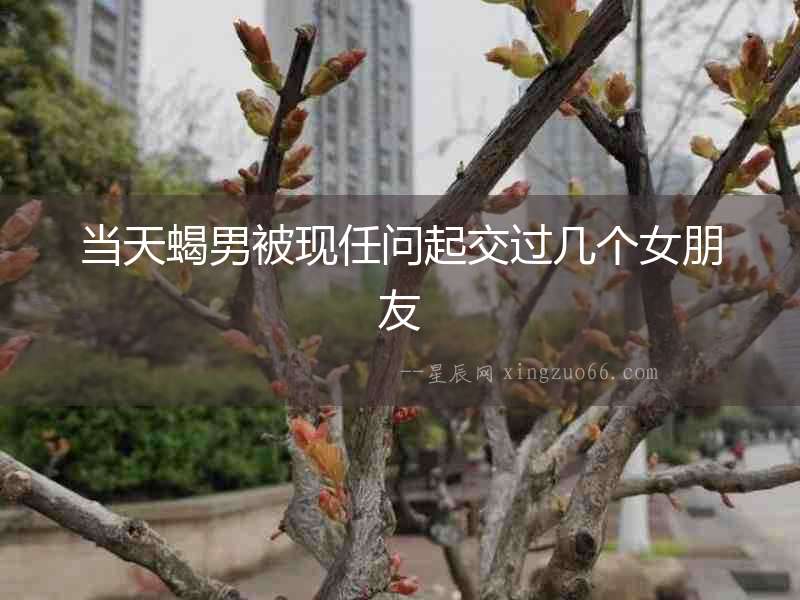 當天蝎男被現(xiàn)任問起交過幾個女朋友