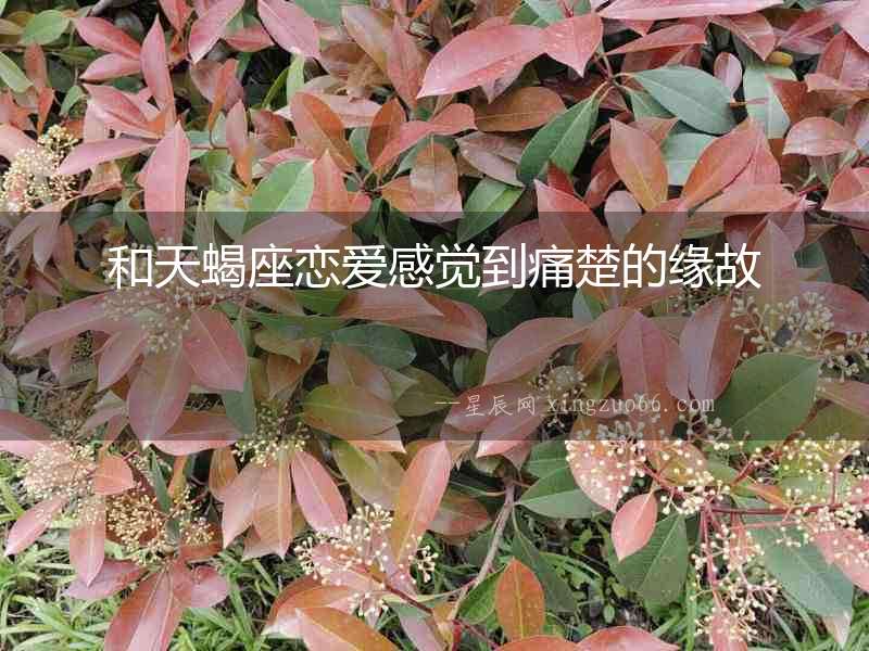 和天蝎座戀愛感覺到痛楚的緣故