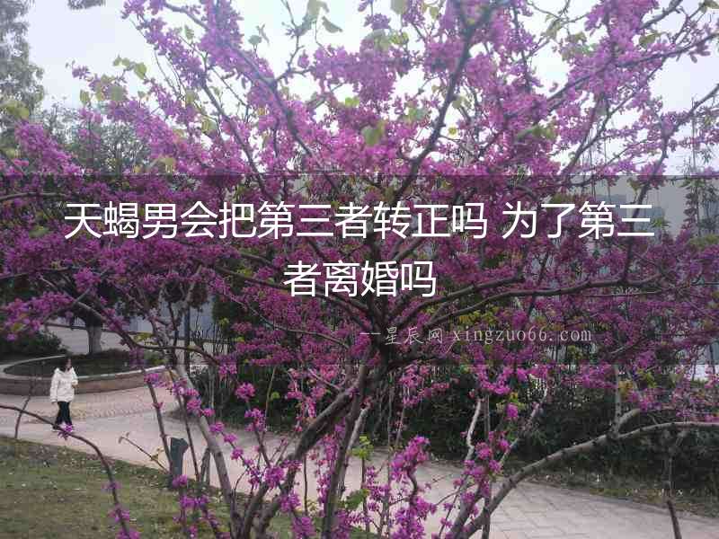 天蝎男會把第三者轉正嗎 為了第三者離婚嗎