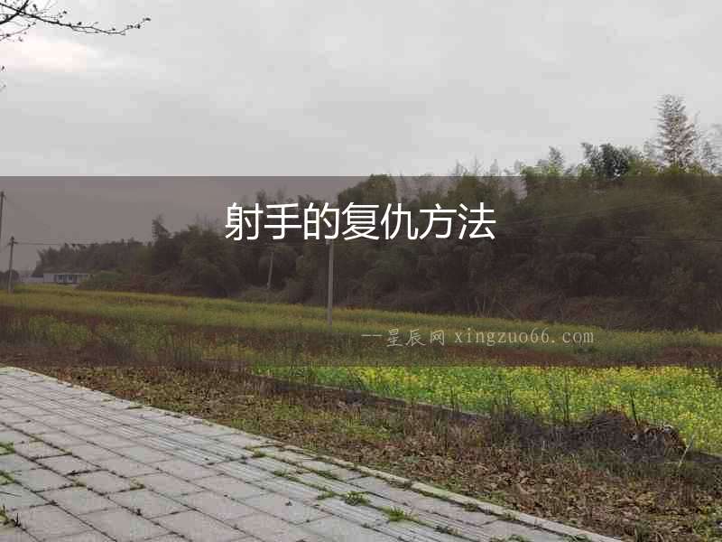 射手的復仇方法