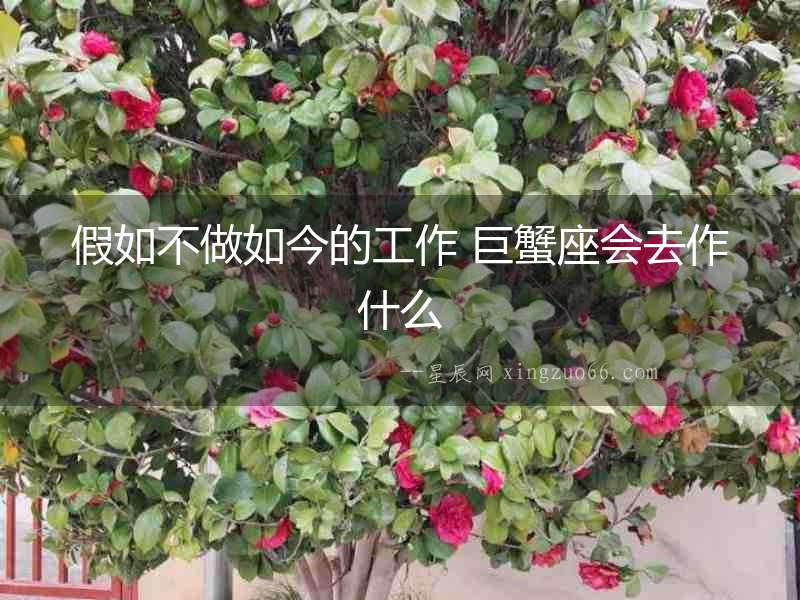 假如不做如今的工作 巨蟹座會(huì)去作什么