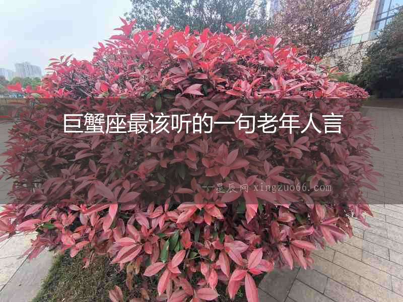 巨蟹座最該聽(tīng)的一句老年人言