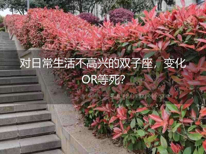 對日常生活不高興的雙子座，變化OR等死？