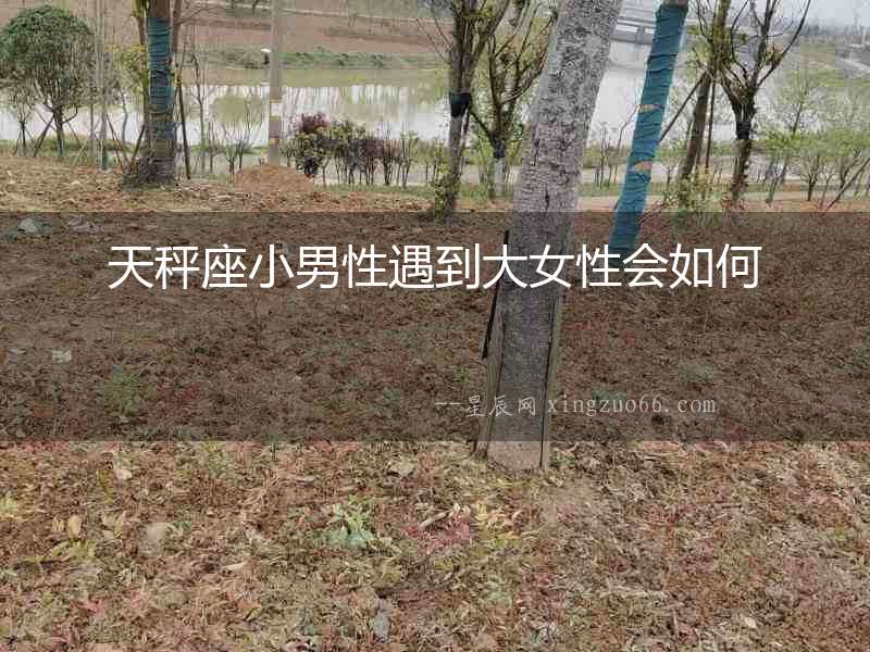 天秤座小男性遇到大女性會如何