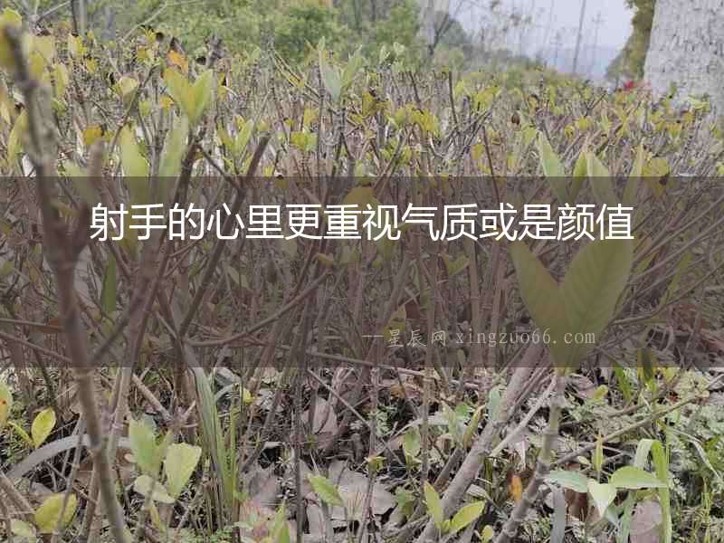 射手的心里更重視氣質(zhì)或是顏值
