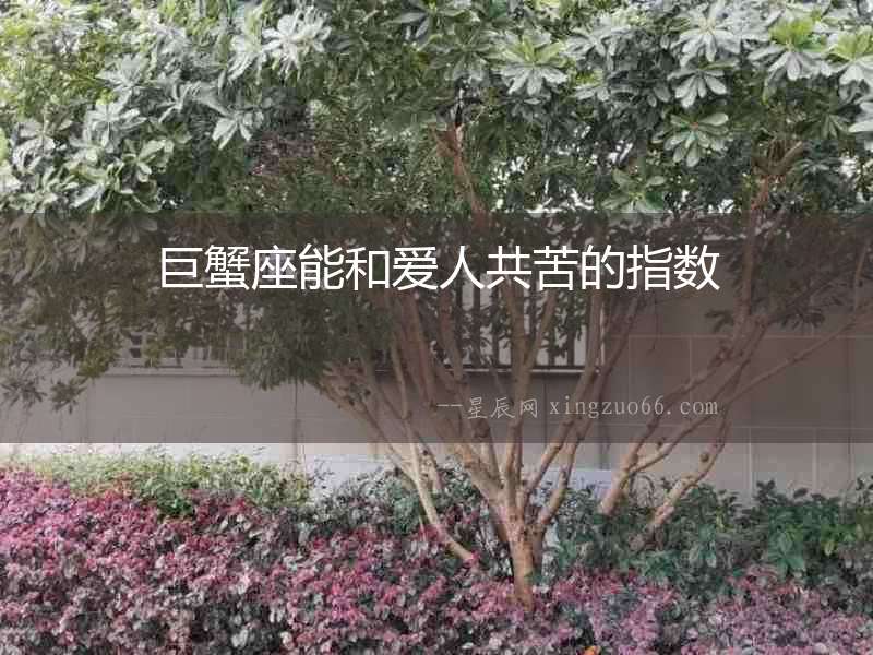 巨蟹座能和愛人共苦的指數