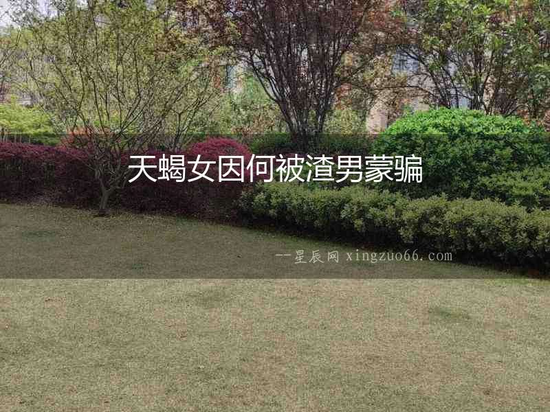 天蝎女因何被渣男蒙騙