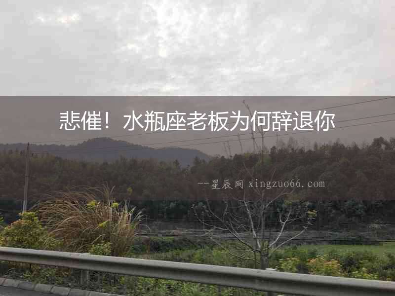 悲催！水瓶座老板為何辭退你