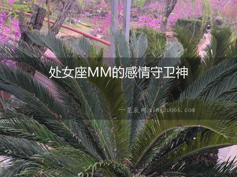 處女座MM的感情守衛(wèi)神