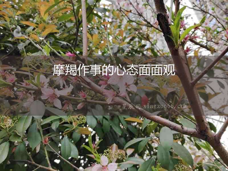 摩羯作事的心態面面觀