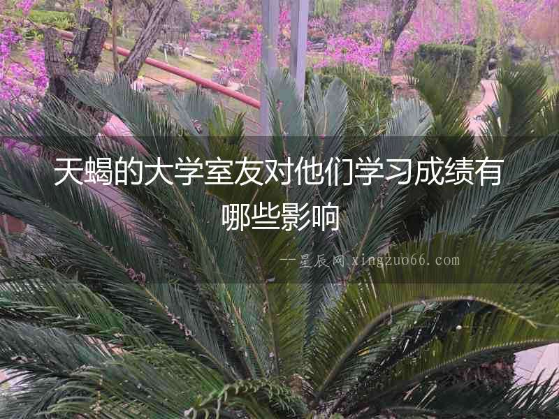 天蝎的大學室友對他們學習成績有哪些影響
