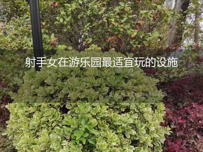 射手女在游樂園最適宜玩的設(shè)施