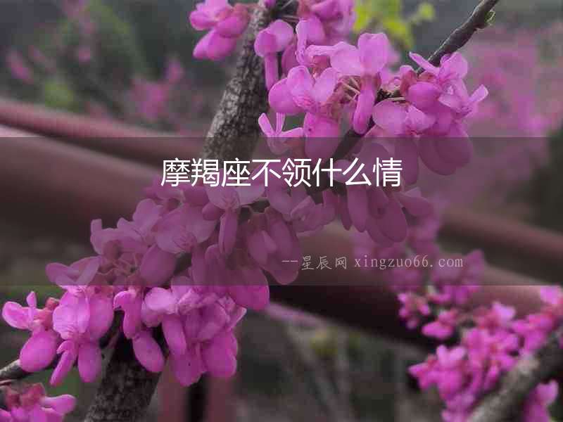 摩羯座不領(lǐng)什么情