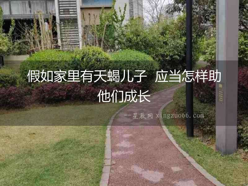 假如家里有天蝎兒子  應(yīng)當(dāng)怎樣助他們成長