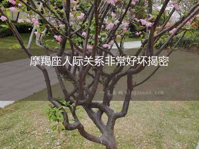 摩羯座人際關(guān)系非常好壞揭密