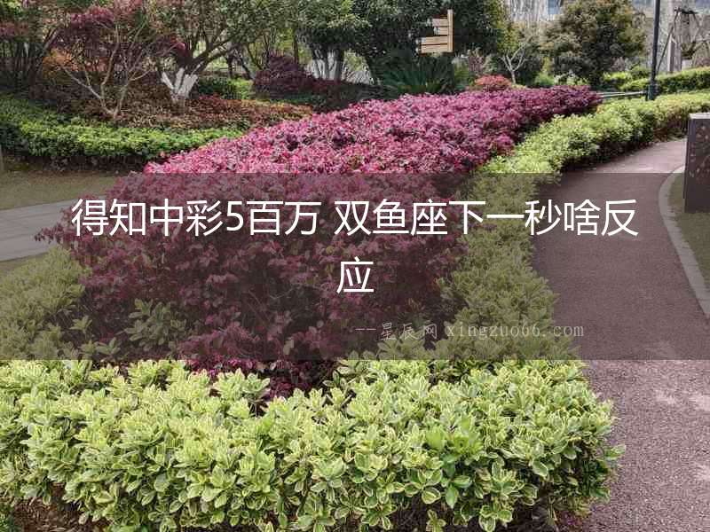 得知中彩5百萬(wàn) 雙魚座下一秒啥反應(yīng)