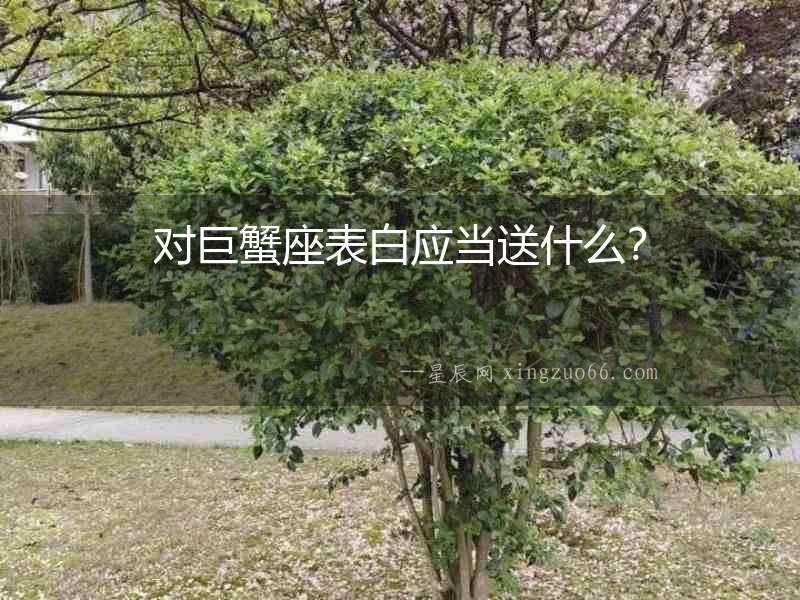 對巨蟹座表白應當送什么？