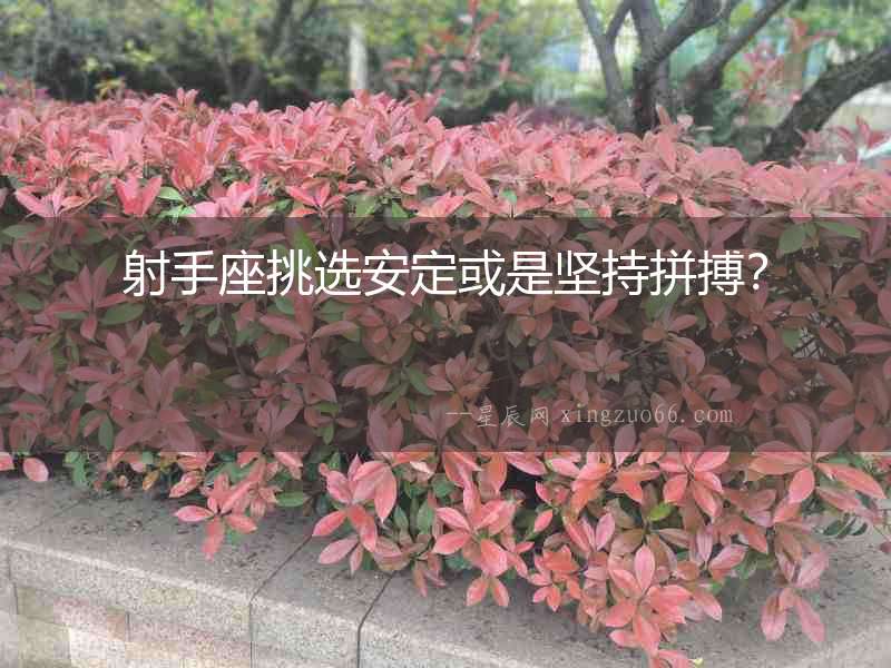射手座挑選安定或是堅(jiān)持拼搏？
