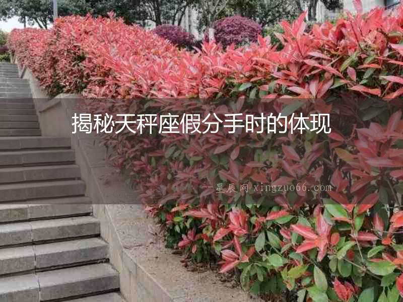 揭秘天秤座假分手時(shí)的體現(xiàn)