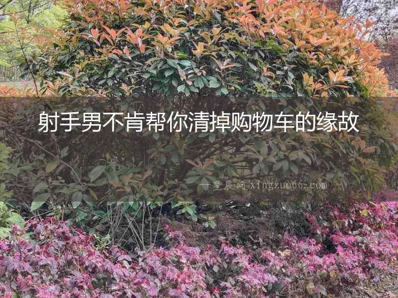 射手男不肯幫你清掉購(gòu)物車(chē)的緣故