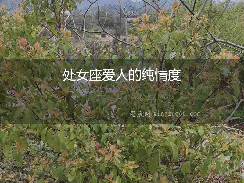 處女座愛人的純情度