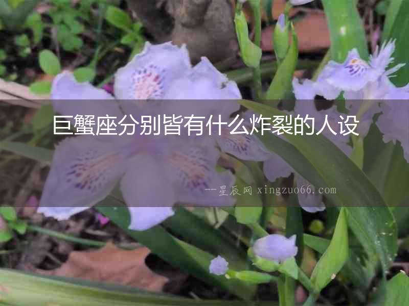 巨蟹座分別皆有什么炸裂的人設