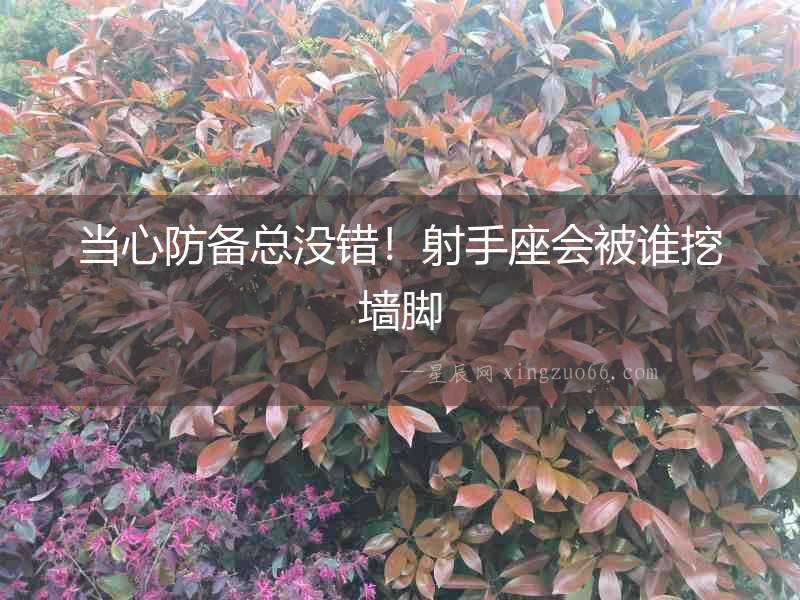 當心防備總沒錯！射手座會被誰挖墻腳