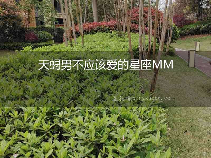 天蝎男不應該愛的星座MM