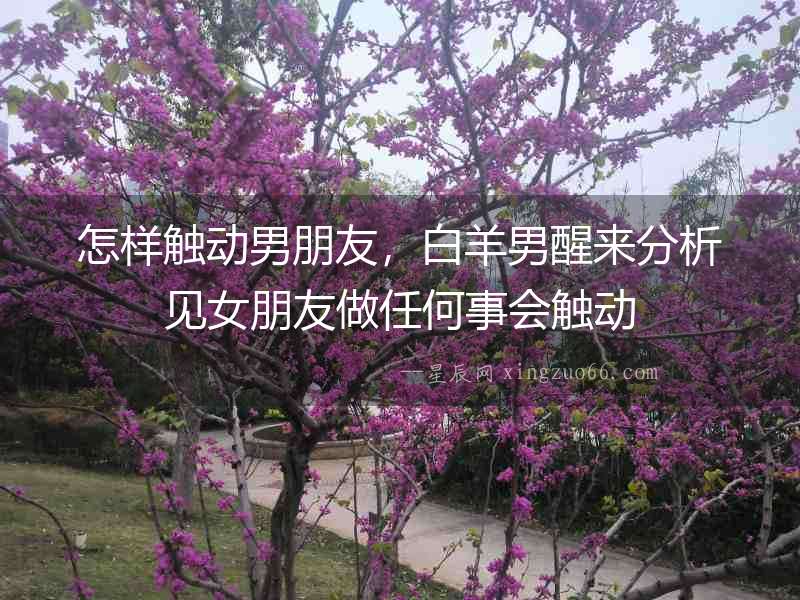 怎樣觸動男朋友，白羊男醒來分析見女朋友做任何事會觸動