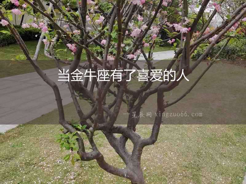 當(dāng)金牛座有了喜愛的人