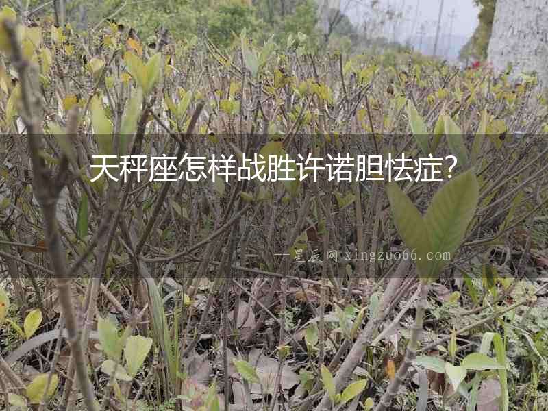 天秤座怎樣戰勝許諾膽怯癥？