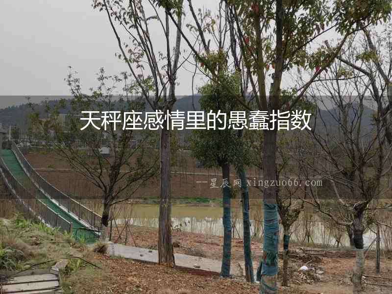 天秤座感情里的愚蠢指數