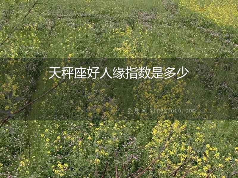天秤座好人緣指數是多少