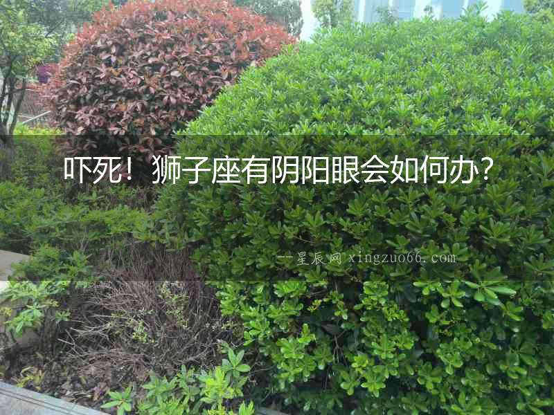 嚇?biāo)溃—{子座有陰陽眼會如何辦？
