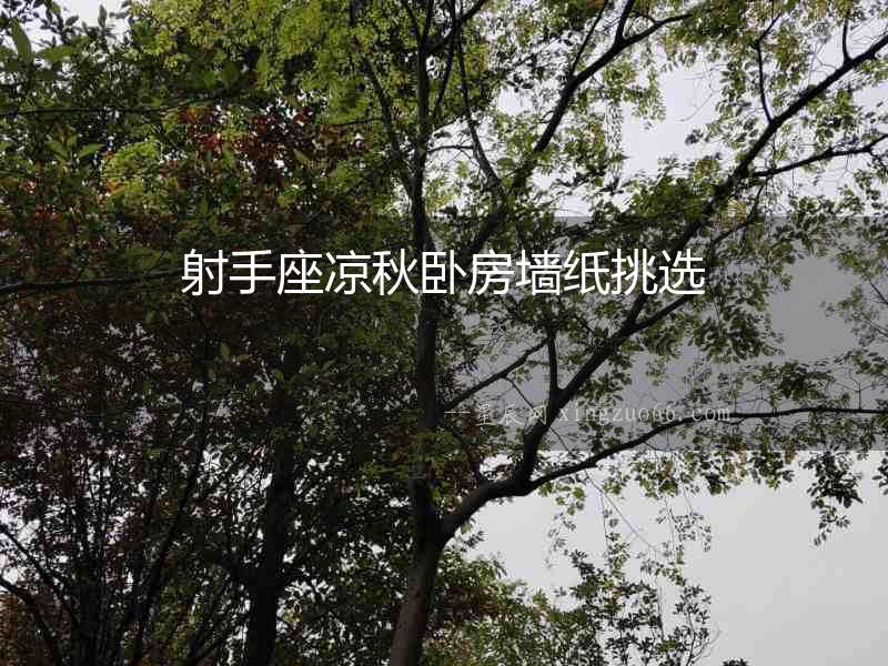 射手座涼秋臥房墻紙?zhí)暨x
