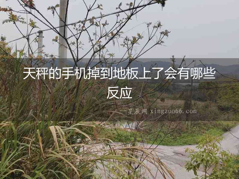 天秤的手機(jī)掉到地板上了會(huì)有哪些反應(yīng)