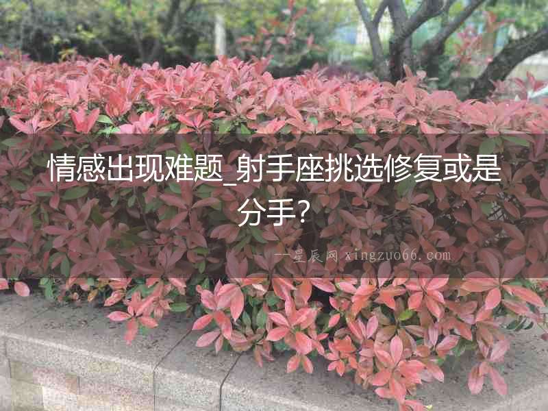 情感出現(xiàn)難題_射手座挑選修復或是分手？