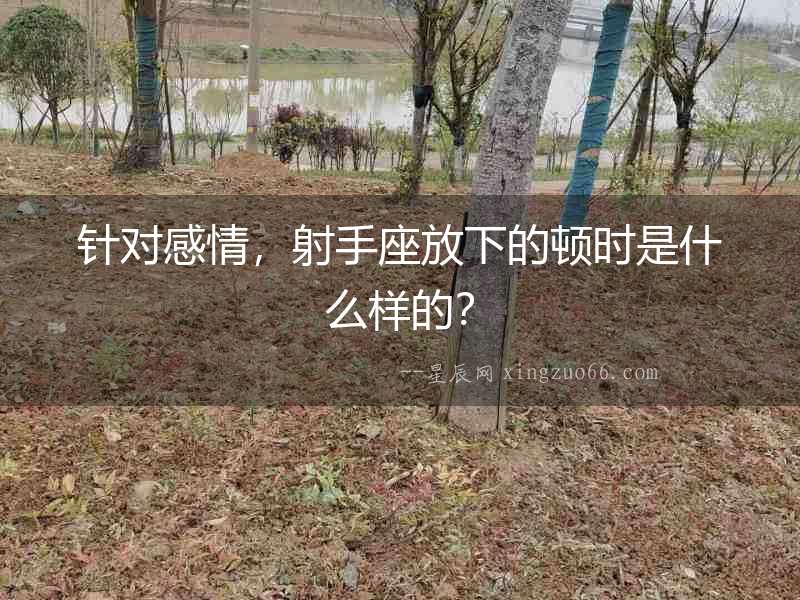 針對(duì)感情，射手座放下的頓時(shí)是什么樣的？