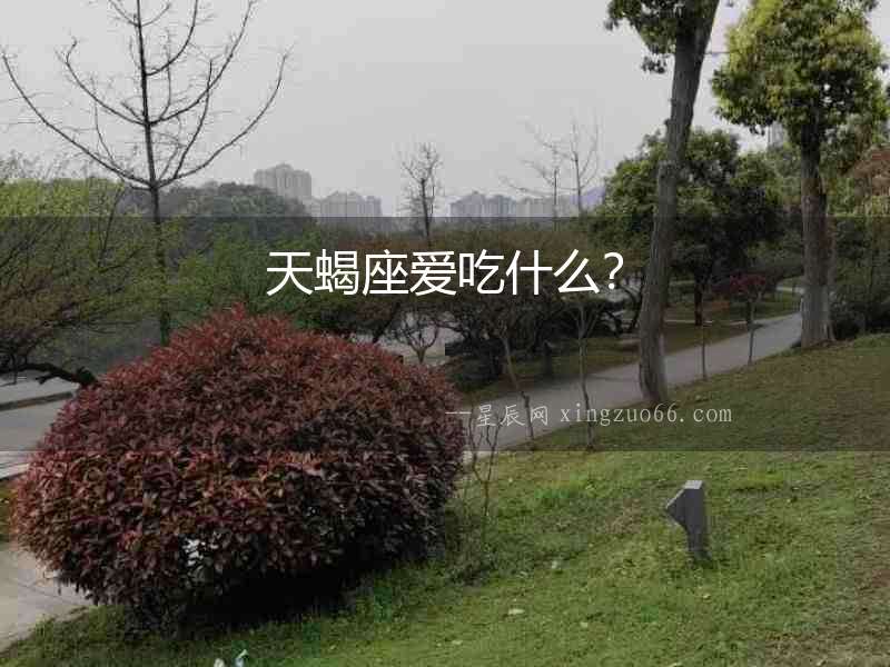 天蝎座愛吃什么？
