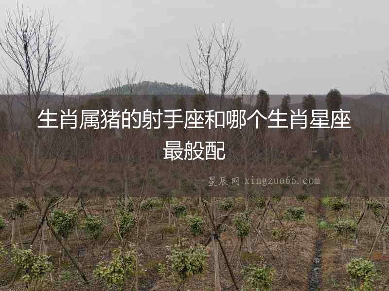 生肖屬豬的射手座和哪個生肖星座最般配