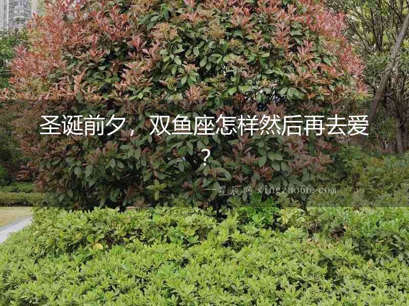 圣誕前夕，雙魚(yú)座怎樣然后再去愛(ài)？