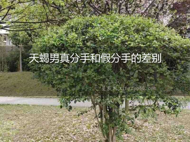 天蝎男真分手和假分手的差別