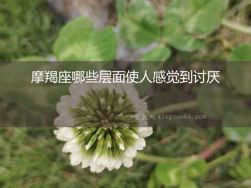 摩羯座哪些層面使人感覺到討厭